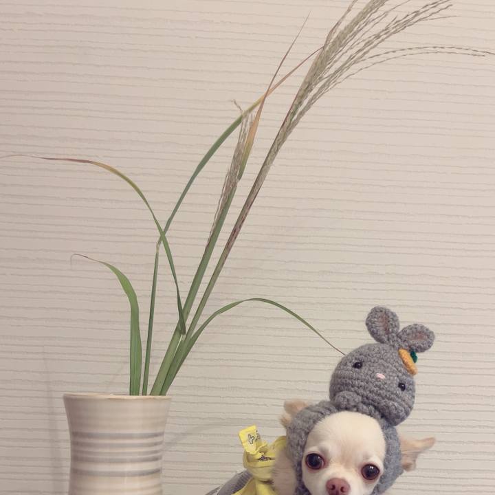 8dbf0f1d b4d3 4af7 bf64 3895b36116c4 1695990532554