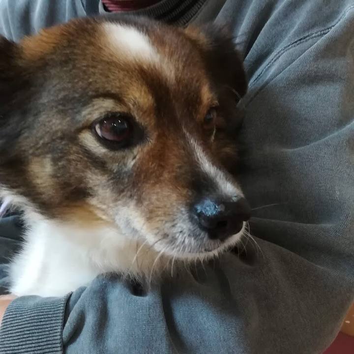 8dbf3e47 3eba 4845 8f14 f8f142bdc6bf 1541159633456