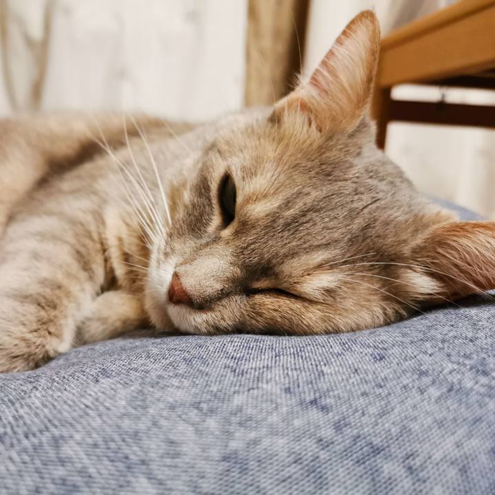 8dbf488f 3bae 4473 b5f3 1a3b19aaf583 1621816976026