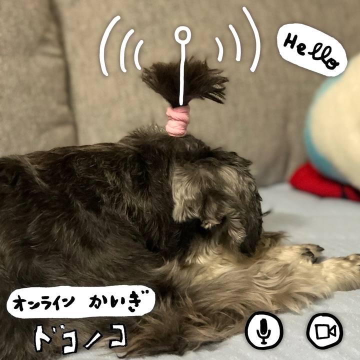 8dbf4e0c 34c7 46bd 9778 c2f105b13513 1591263231837