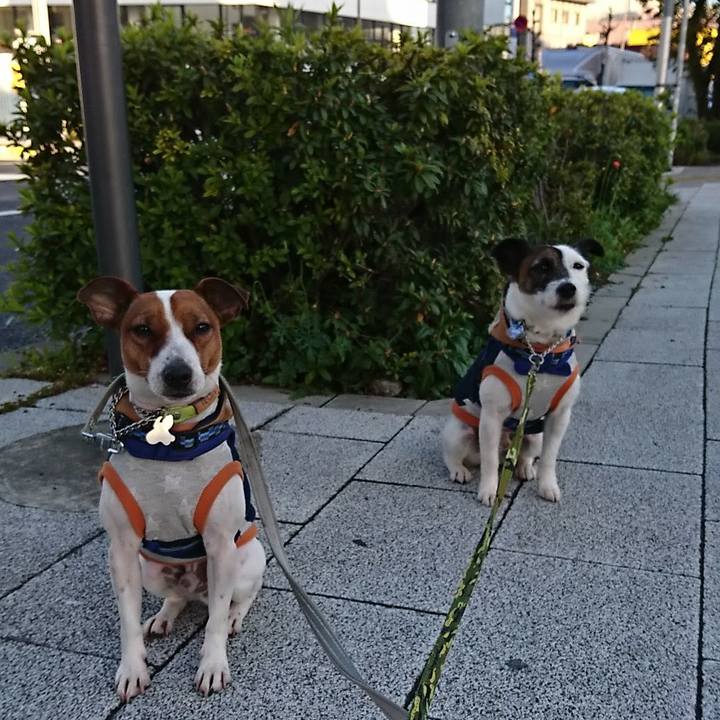 8dbf6054 db73 40d8 ae45 b12bda6f5567 1554757328730