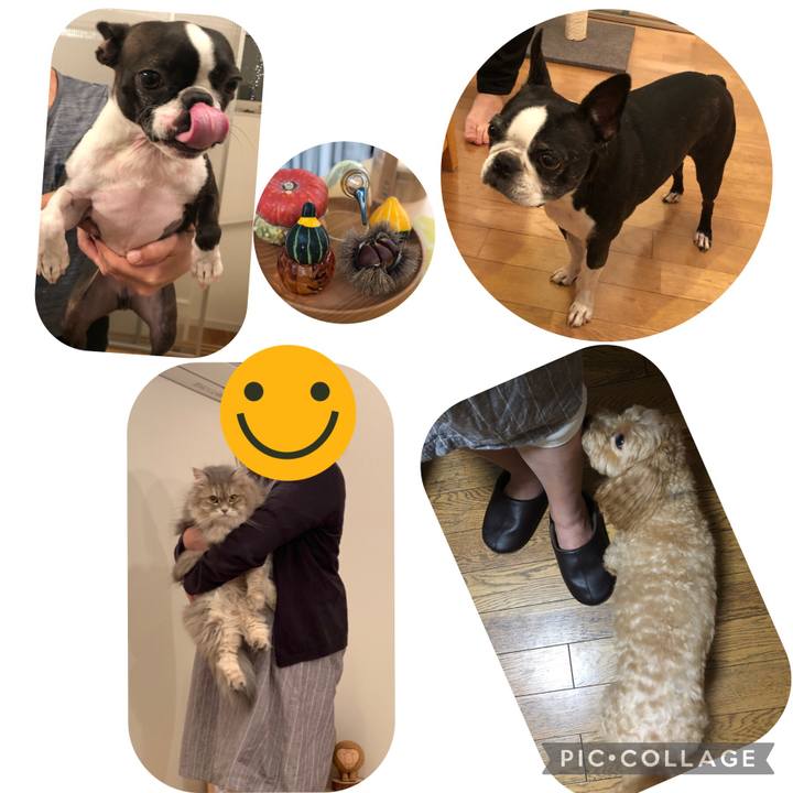 8dbf728c 57e3 4c48 ade2 9f04cf92e7cf 1665430121594