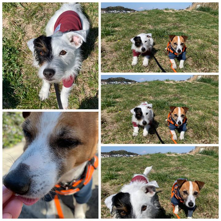 8dbf7c6e 6fea 4207 b48e 7d456c116c50 1554339427216