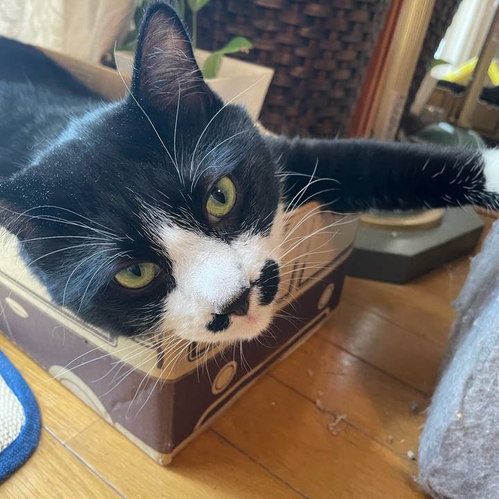 8dbf85cc 1b9c 4370 b3bd 9f8a9d4963e5 1690678833494