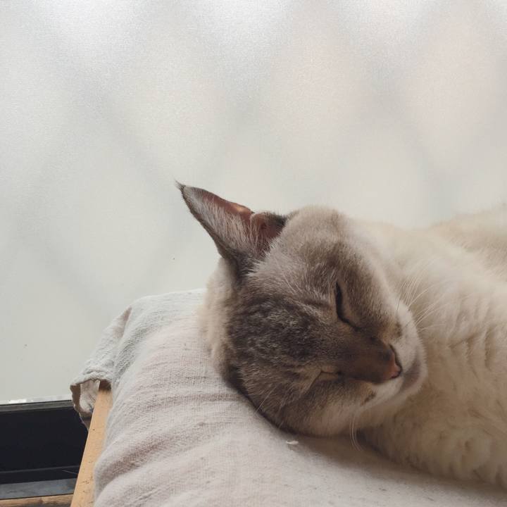 8dbf9c3e 6b62 4ccd a019 fbbb0925a4a2 1569889021681