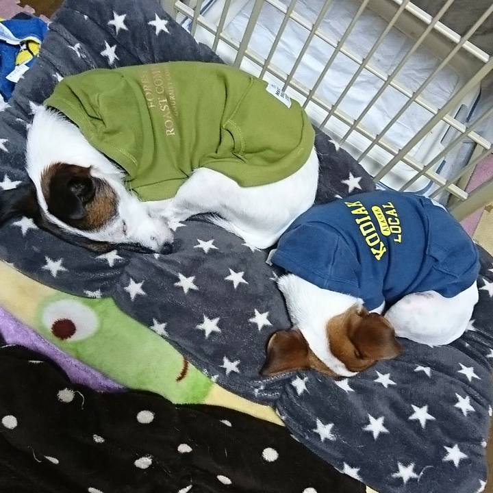 8dbfc8b9 2f4e 49d5 adbd d709f4de4b00 1544008071429