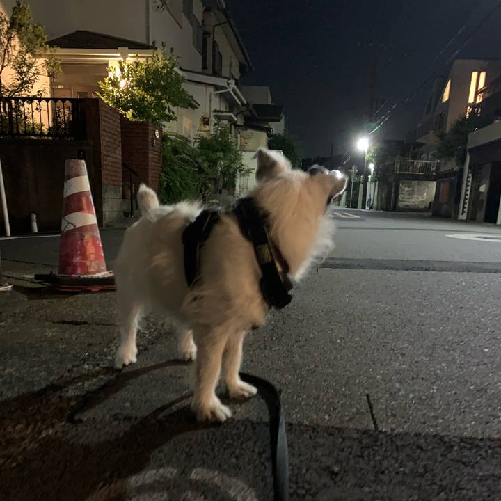 8dbfd9df 2339 43f5 9224 7f5a6035681f 1718802792300