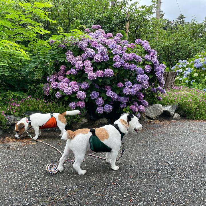 8dbff1a9 d138 49fa a4bd dd38b4425ece 1687909803124