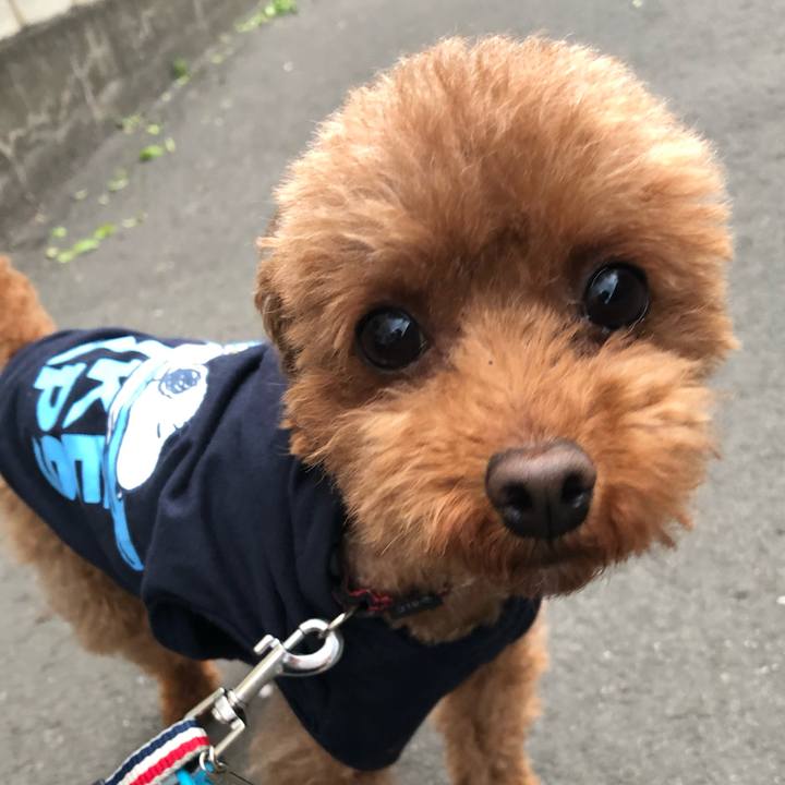 8dc006d7 3bf6 40e0 af5e f98924875308 1559122944130