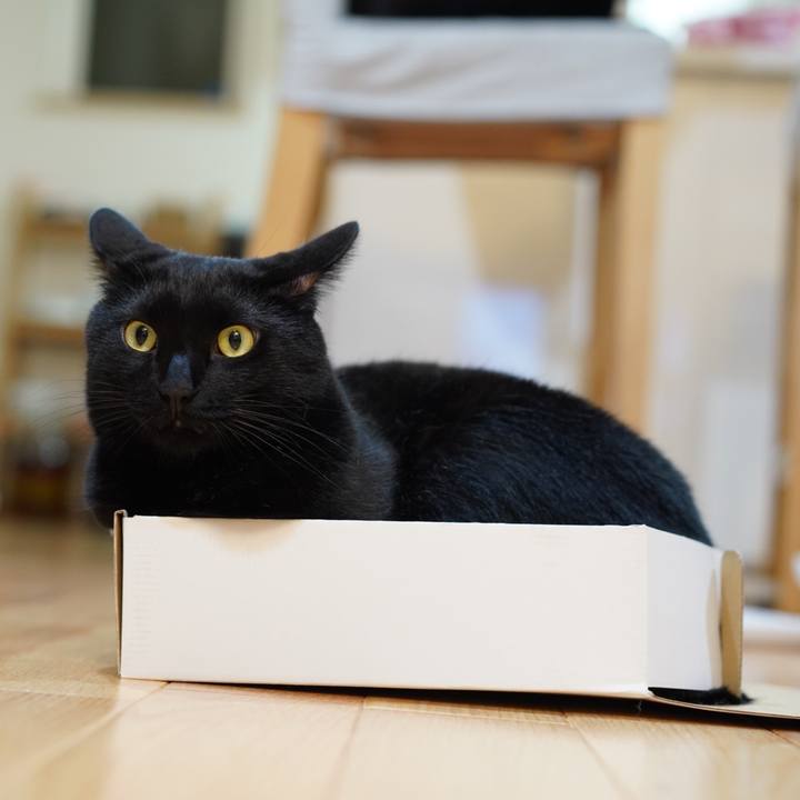 8dc030b1 f5f9 454a 99da 3f97431ad731 1566549828450