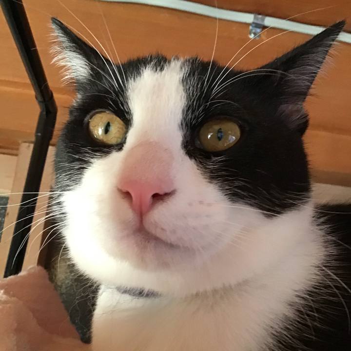 8dc03c75 15ac 48fd 9b63 c1701bd5a93a 1636536267283