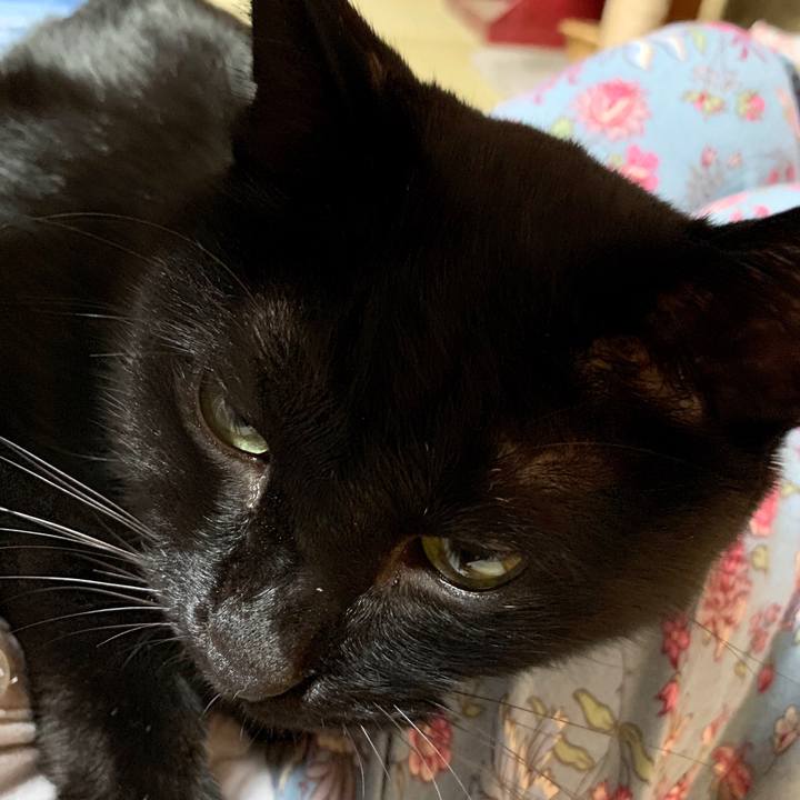 8dc06b37 3653 4838 a88d f45be111f4fb 1565533375768