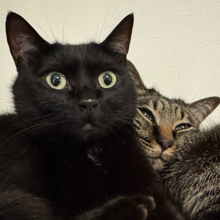 8dc0a31f 7da0 4b4f 8f35 6171c43bfc9a 1751629229551