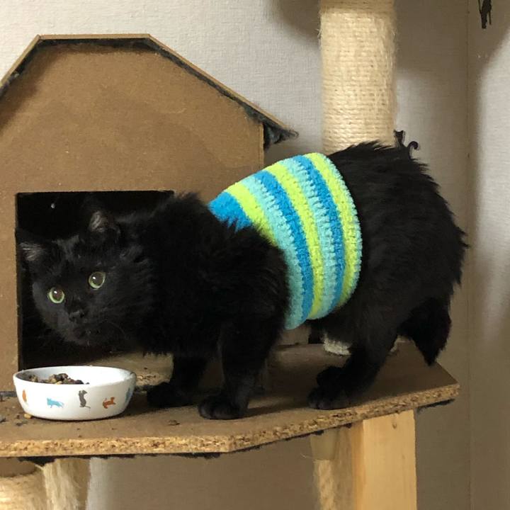 8dc11230 e660 446b 8c75 ea1e128a0dac 1582893820577