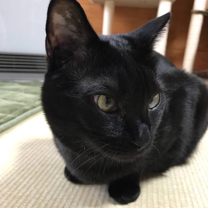 8dc144d1 08e4 41ac 856a efda5f9b1647 1521855445699