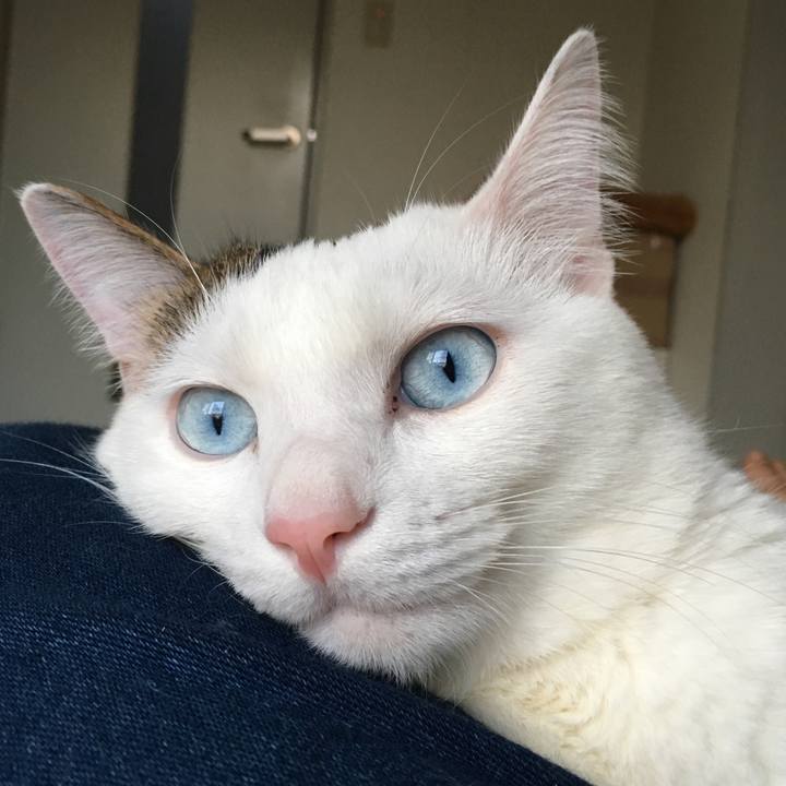 8dc16cf9 b5e2 423d b5fe 0e2f4e038ace 1522371954228