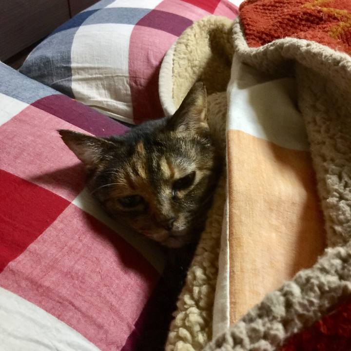 8dc176e4 2800 44b5 8431 3a447ffb447e 1514073182865