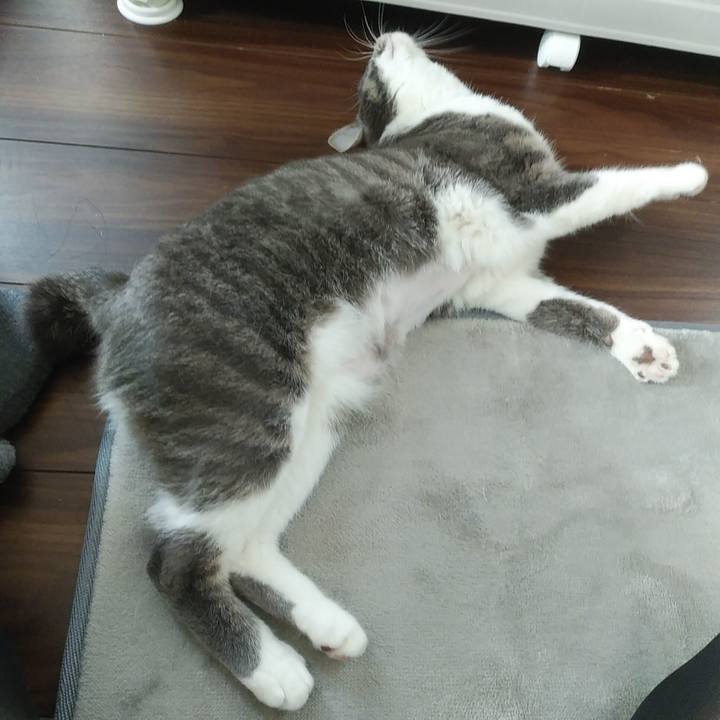 8dc185e6 1e26 4ee5 a509 1a987d6e636a 1586993127776