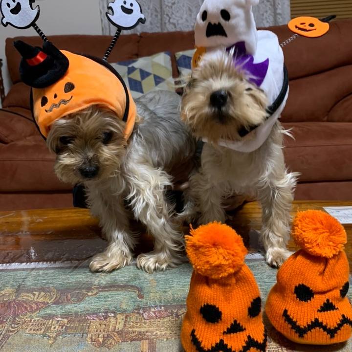 8dc19738 b3da 4041 acc0 f52418e27f49 1667210641365