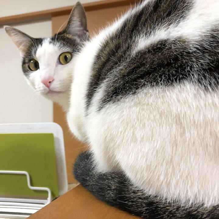 8dc1aafc c260 425c b483 a66be4a077d6 1610792348161