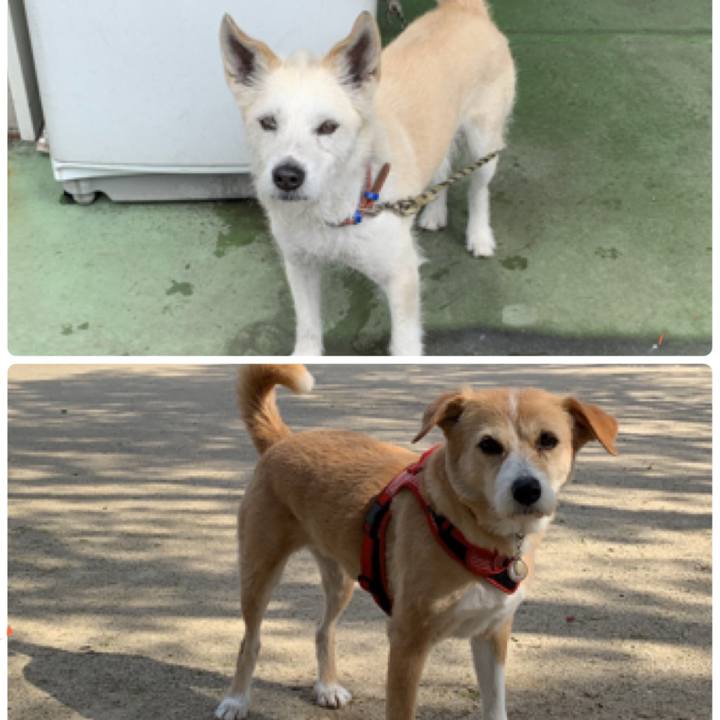 8dc1c46a e121 4f2d 9145 a6644d92d76a 1590286220867