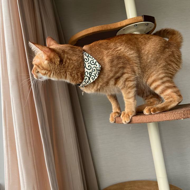 8dc1d4b7 e536 41a6 9492 3b212396d28c 1657668241623