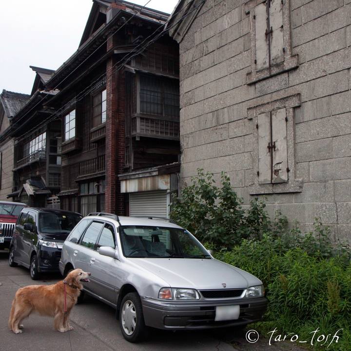 8dc1ece4 d6d1 43ea b912 bcd620dcadec 1599972811121