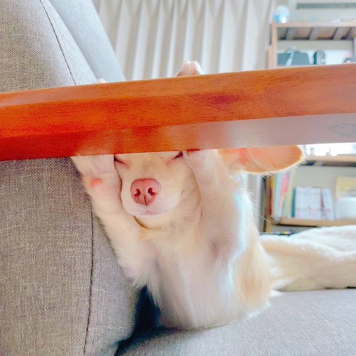 8dc203aa edb9 423b 8065 40f0d80149b6 1630403930913