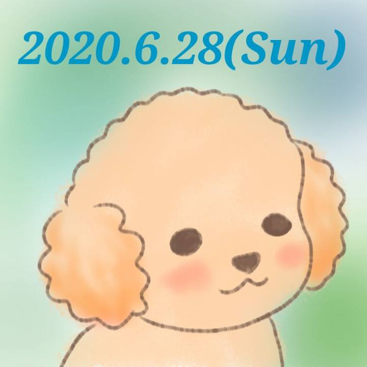 8dc24c18 cd14 4f4b 9751 09b9f8a85d27 1593346823088