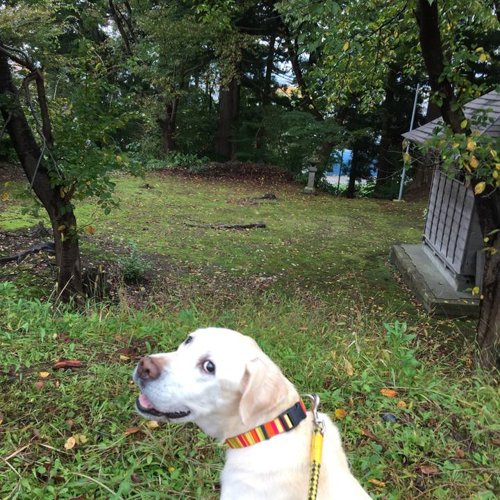 8dc264f1 9bd2 42f2 8461 b34cde6f2dc4 1508905873231