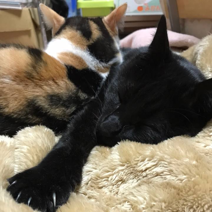 8dc26bd2 4be2 416f 903d 3dfa2b6a857e 1527728035068