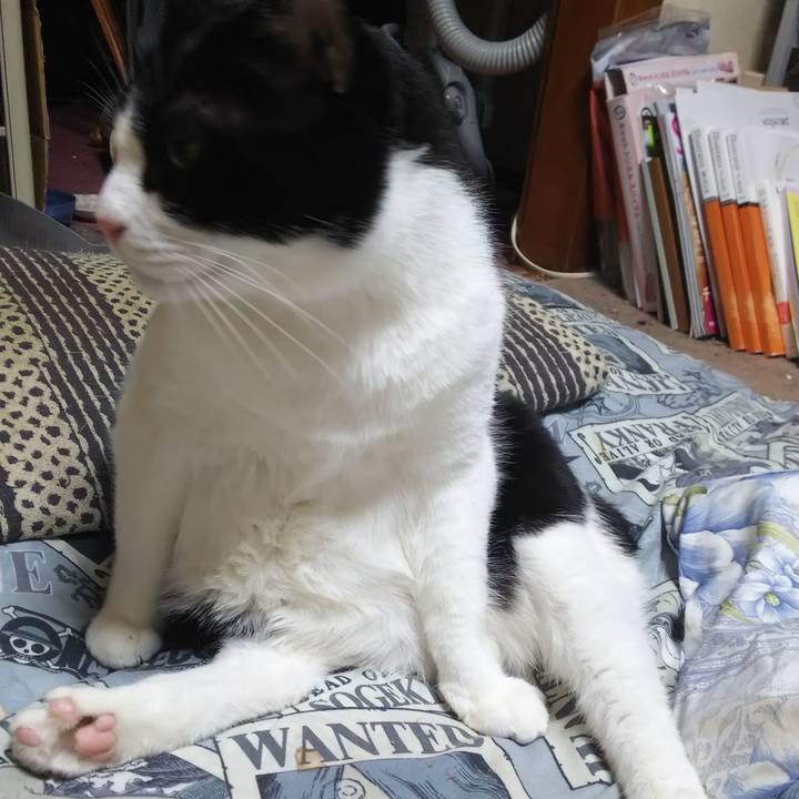 8dc28055 a270 4303 9a1d 9a5c418d3888 1578063567653