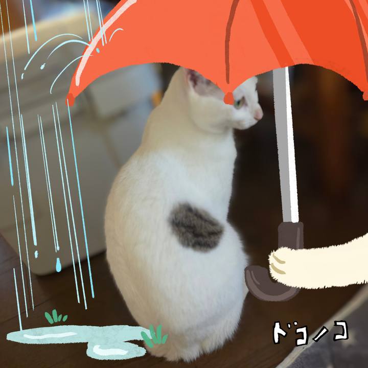 8dc2d6f4 6667 45df 8ff0 12d22fbc7387 1749171011527