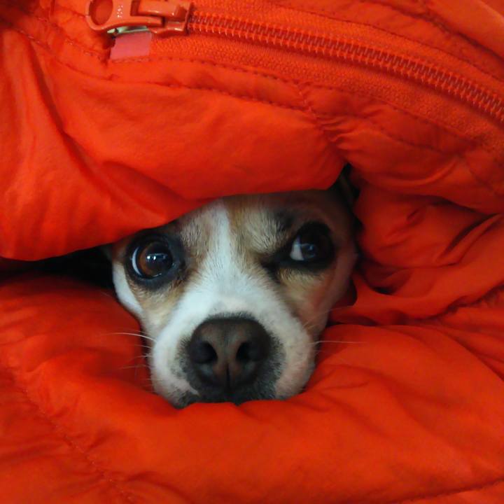 8dc30235 e278 4d8d babc 24cb853d5e66 1546836033518