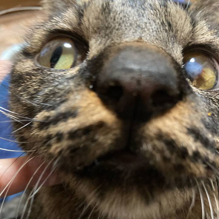 8dc3039a 5e2f 4e22 867b 3d5ebf484935 1640328457329