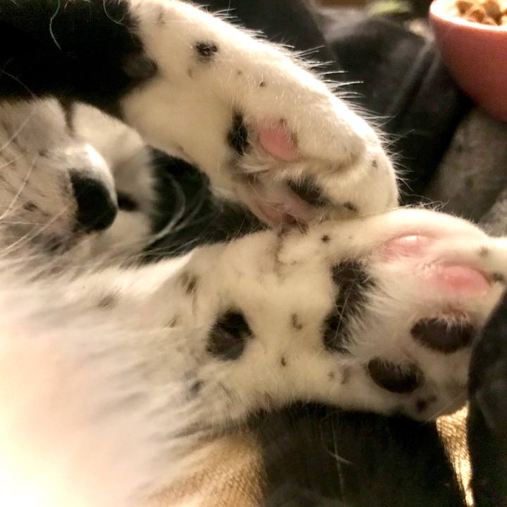 8dc3052e 7a19 45ce a6cd 83c6162bba23 1578584939598