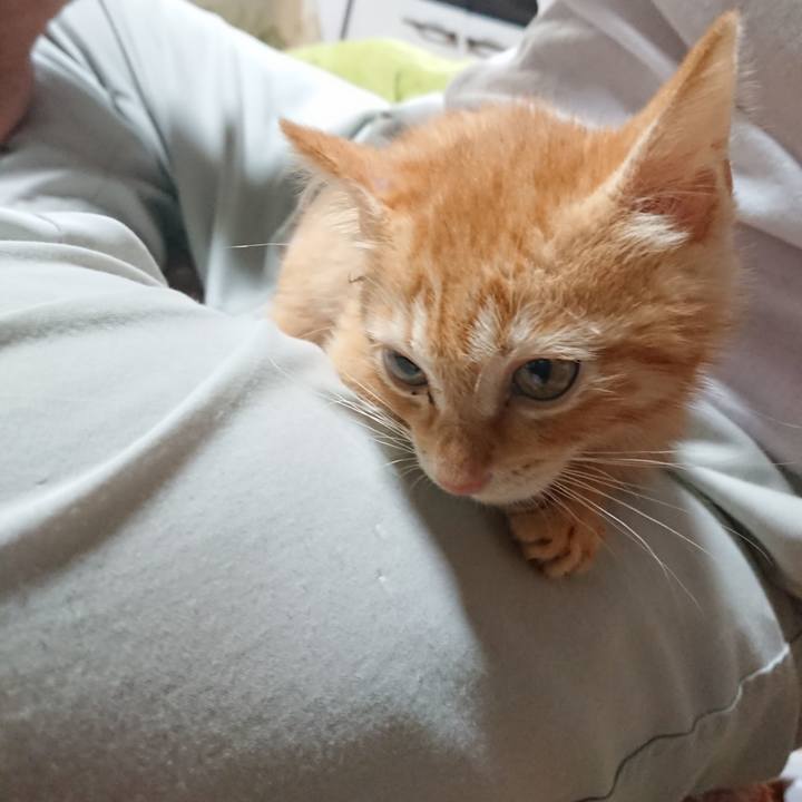 8dc3434f 8c87 4896 a187 e16232896c65 1628674928924