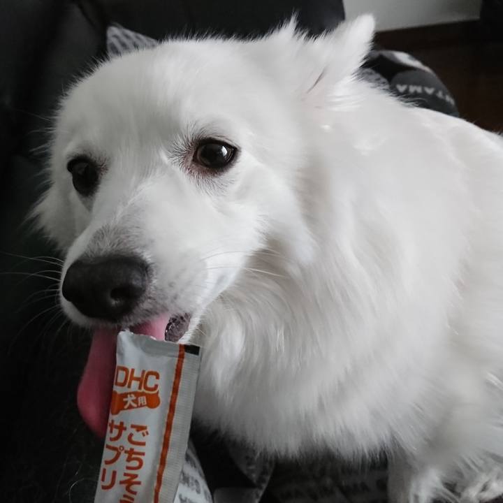 8dc35fa4 4fd6 4143 856b cd52107b26c0 1580010568361