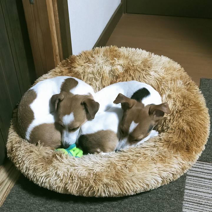 8dc364f1 802e 410d 8da7 495d36d87454 1764145830883