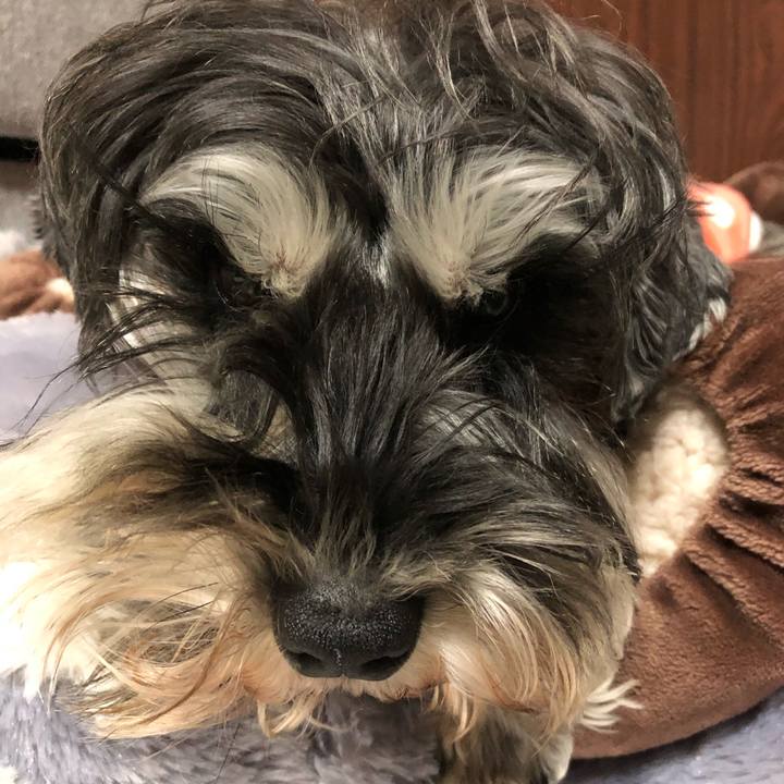 8dc3c766 eadb 4065 adf4 90e74284126a 1580825924387