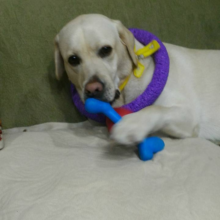 8dc4090f 8f7d 4d2f 8e74 6c4d93887c02 1512815830637