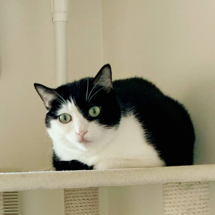 8dc420ea 51dd 45a6 adff c226d2d945dd 1635120063584