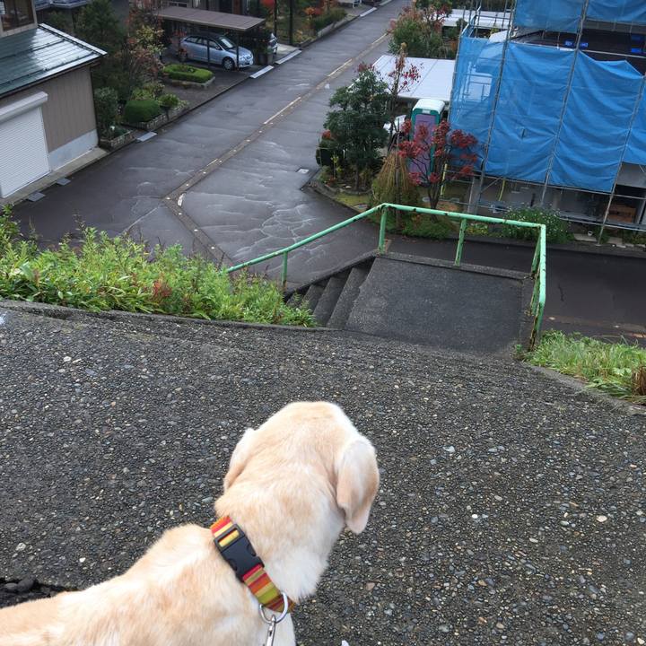 8dc454e6 2029 4360 99fb 124f87183338 1542152711281