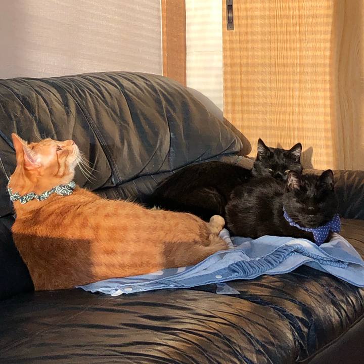 8dc45996 7a16 4e4e b9c0 ab44e8b9dcac 1555965842990