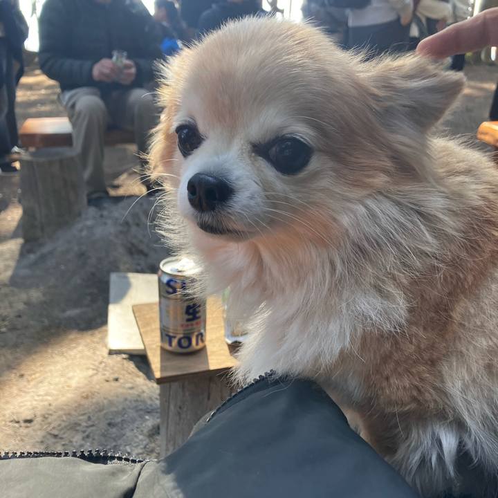 8dc469d5 8f7c 437d b060 d809091900e1 1771283167855