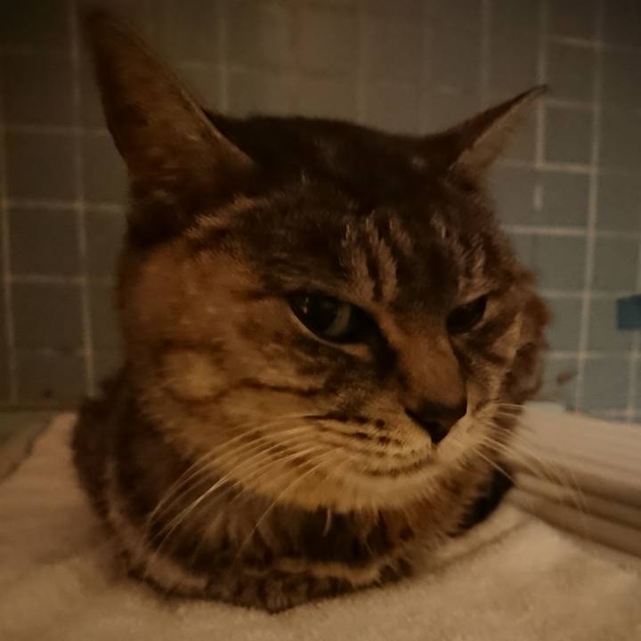 8dc4a35e 981a 448c a376 b95b6eb5ebba 1574155388014