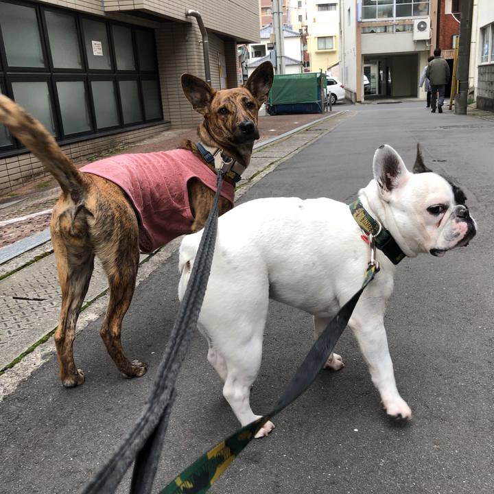 8dc4a7d9 7efe 4cf4 98ad 4636bec37c75 1579499246943