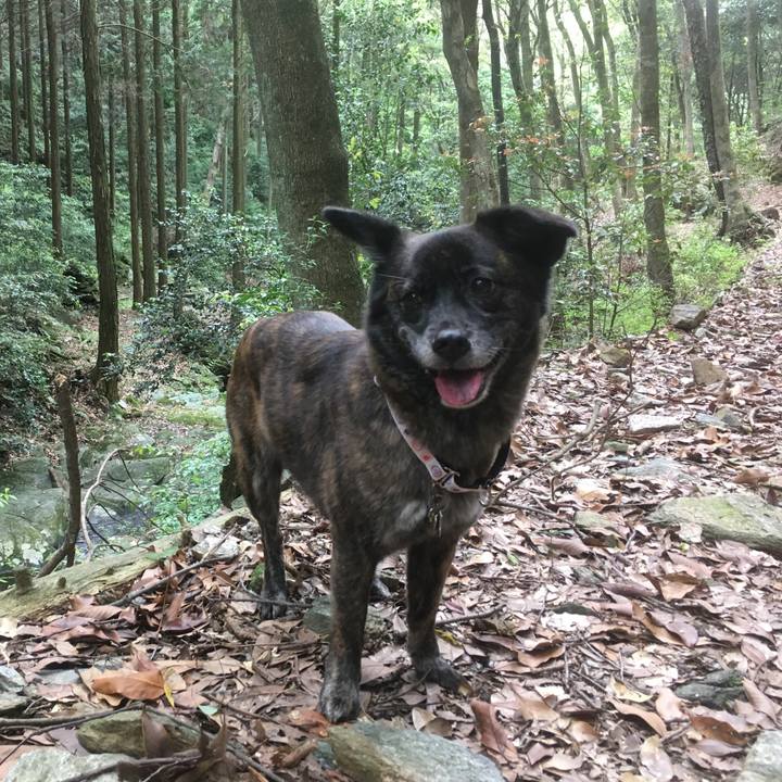 8dc4e370 de98 4019 be71 98a763f03a67 1528557409661