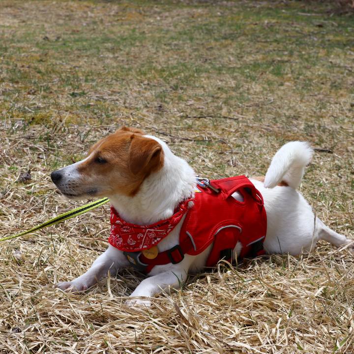 8dc4e609 875c 4452 9116 47291d64f623 1556791730882