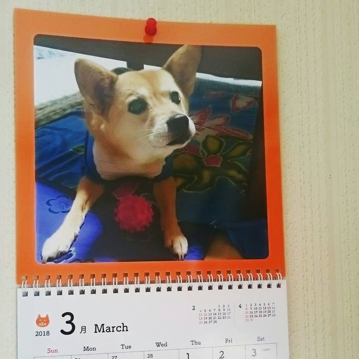 8dc50f67 3fd4 4008 9774 0c82185b6f91 1520053887328